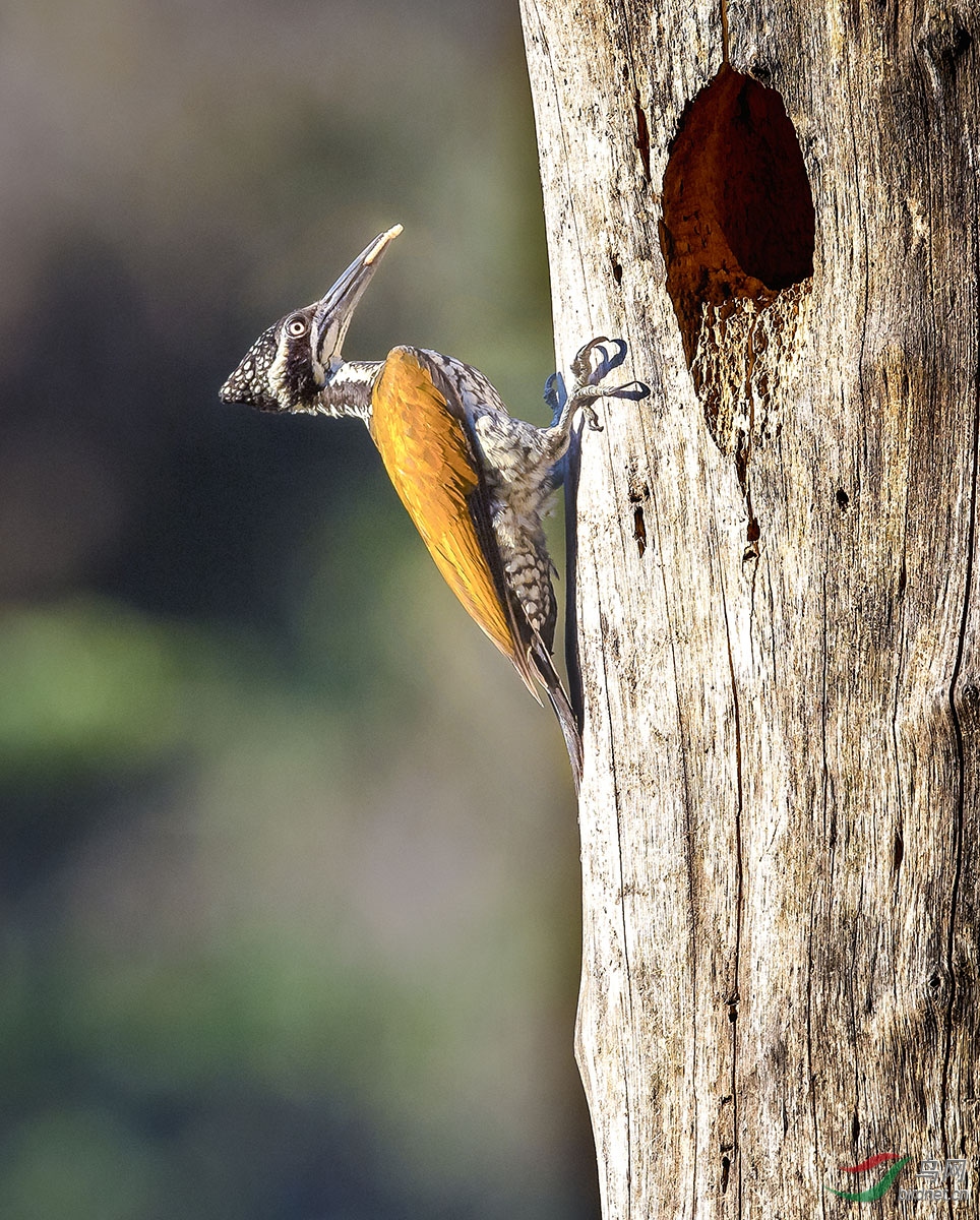 _DSC1542---A02-05---T.jpg