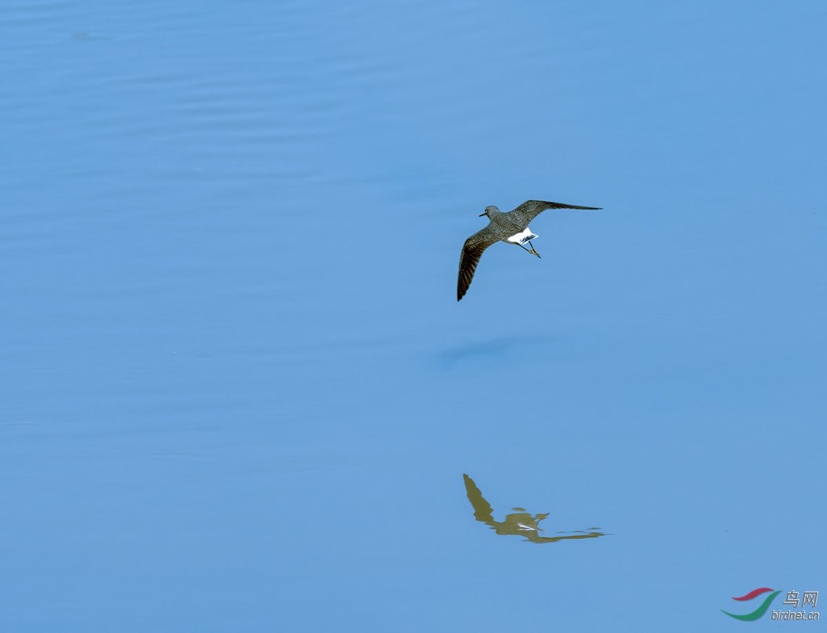 D50_9288-nw.jpg