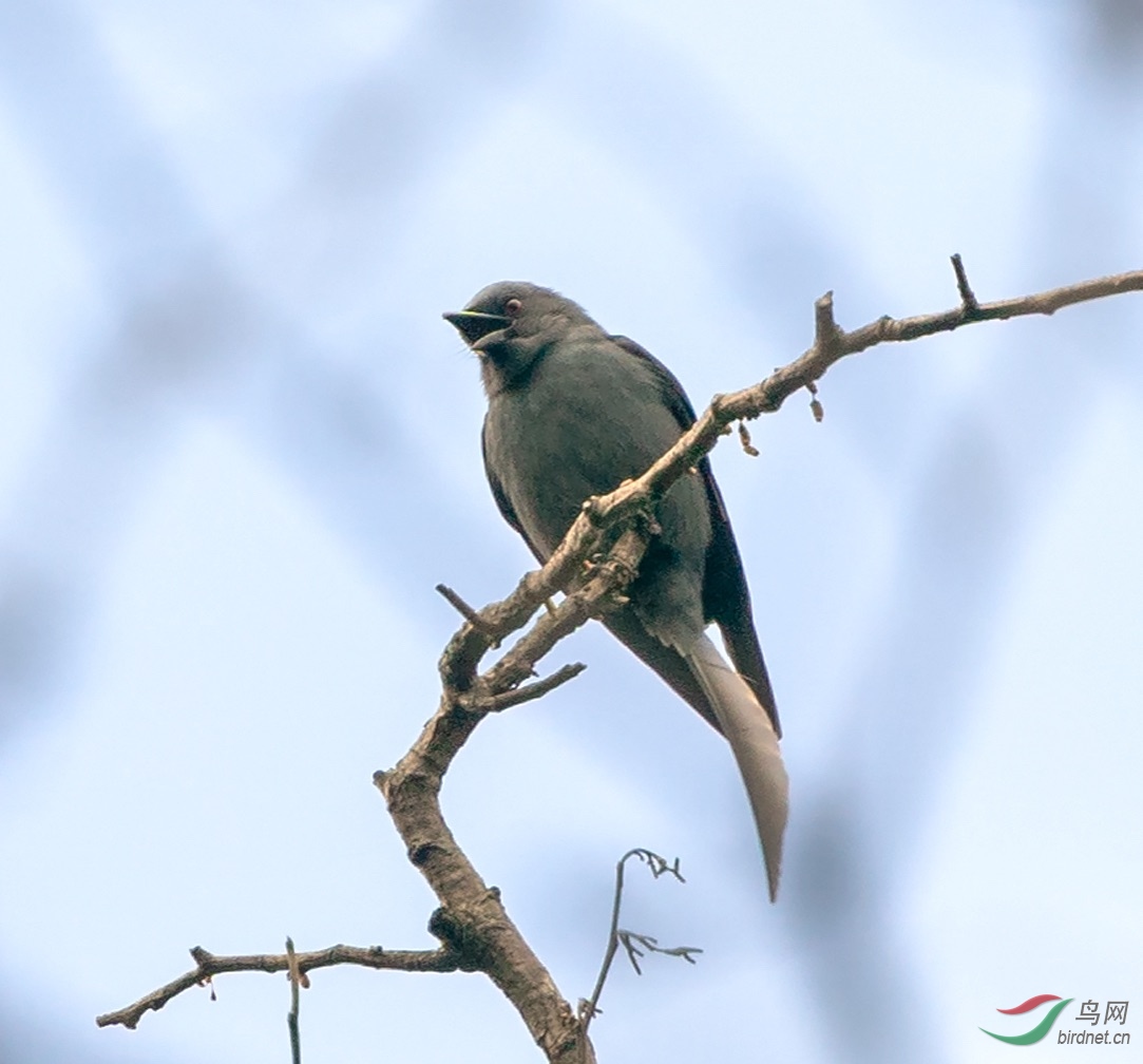 DSC03893 ����_2.jpg