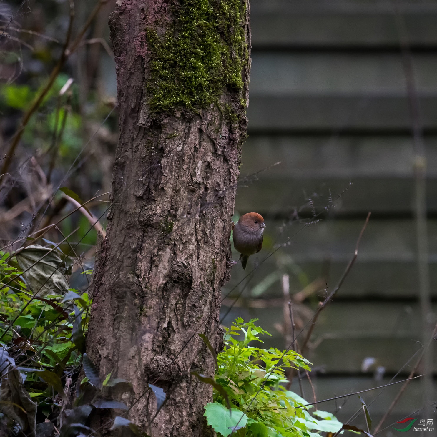 DSC_5759-1.jpg