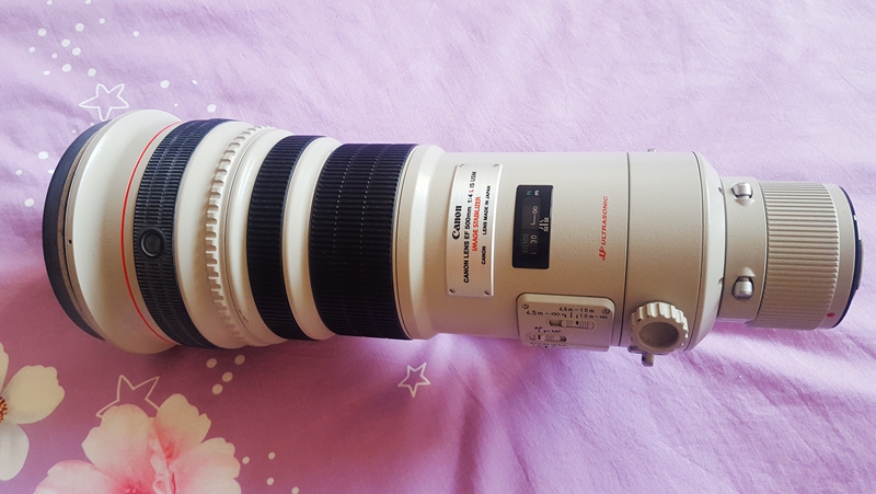 ����EF 500mm f/4L IS  USM