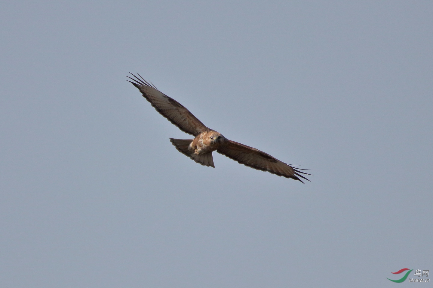 IMG_5973.JPG