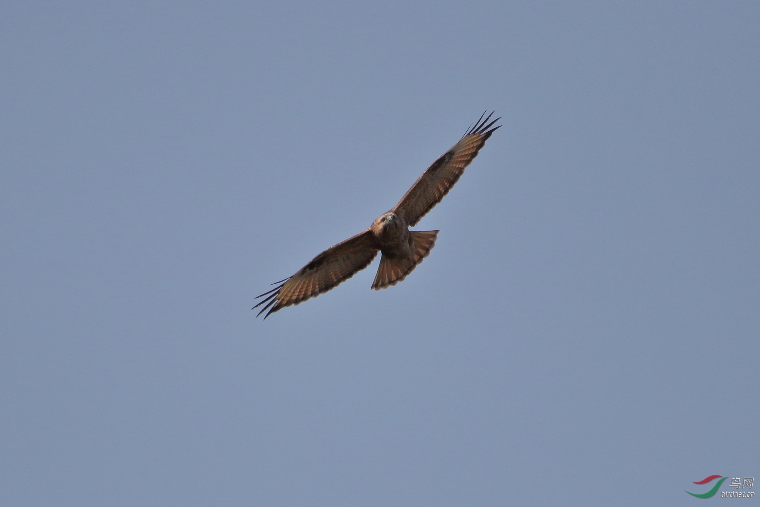 IMG_6005.JPG