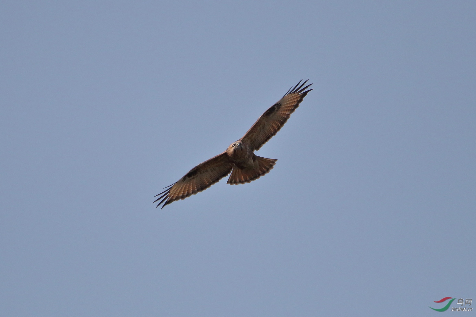 IMG_6006.JPG