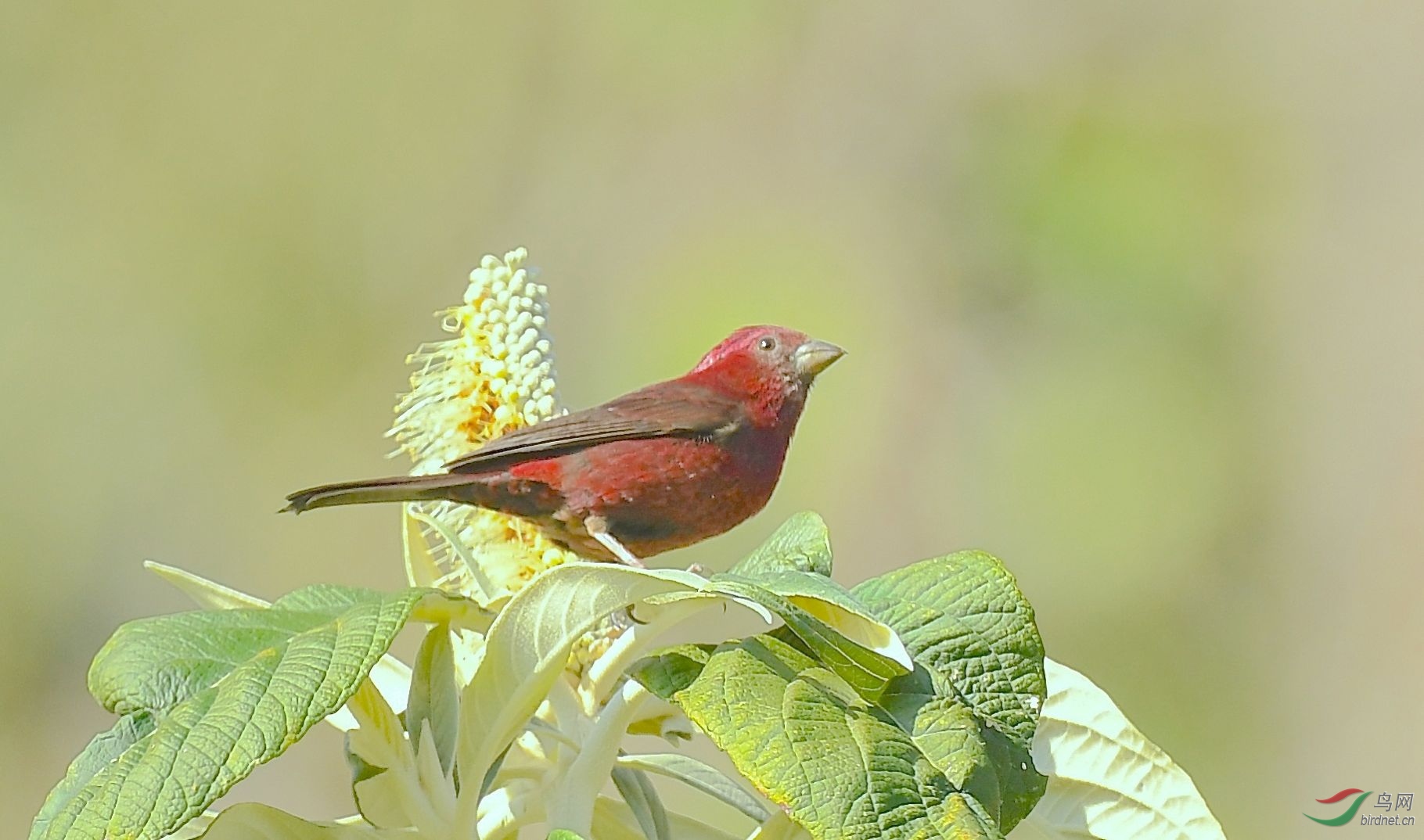 DSC_2837.jpg