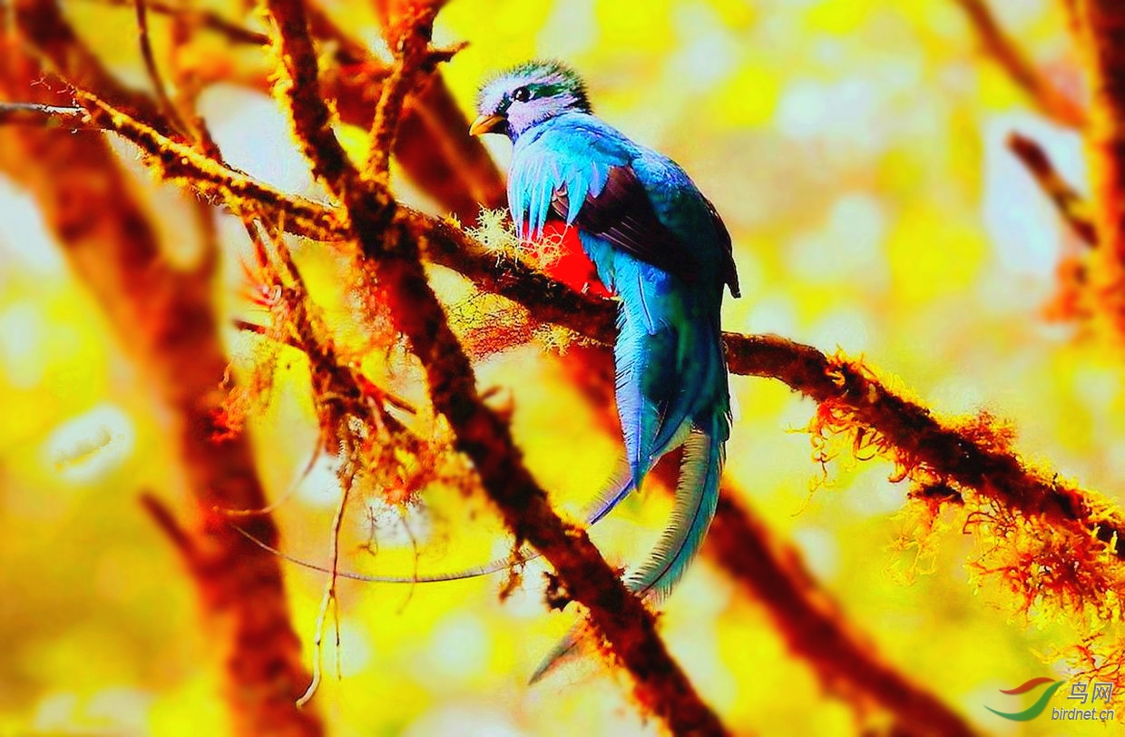 ��ͷ��ҧ�� ����.jpg