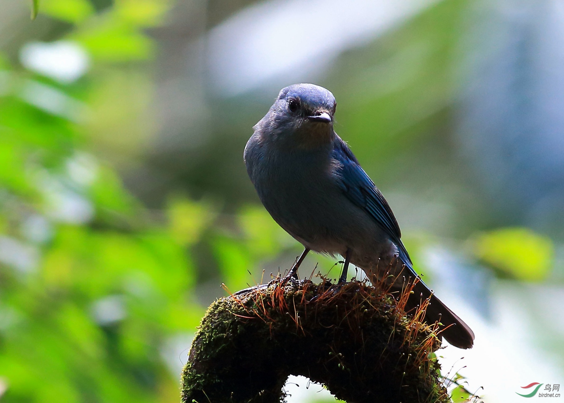 2019-01-27 13-30-23.JPG