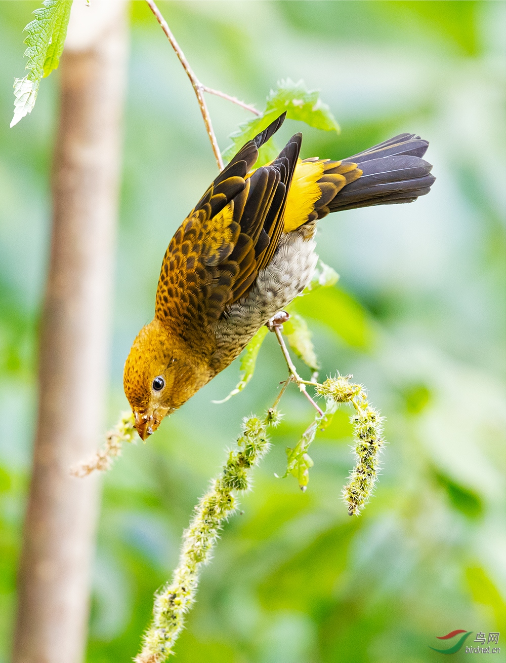 _W2I9023 ����.jpg