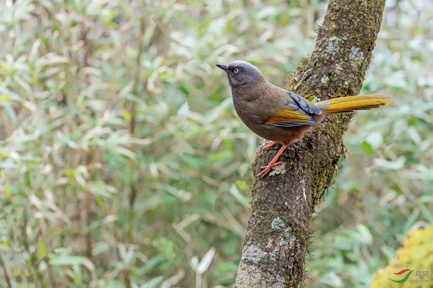 DSC_1782_1.jpg