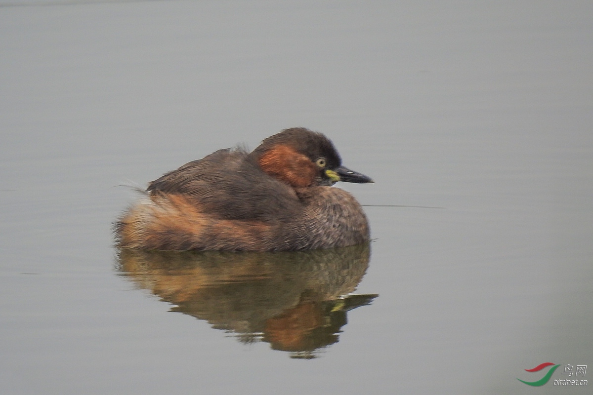 DSCN5839.JPG