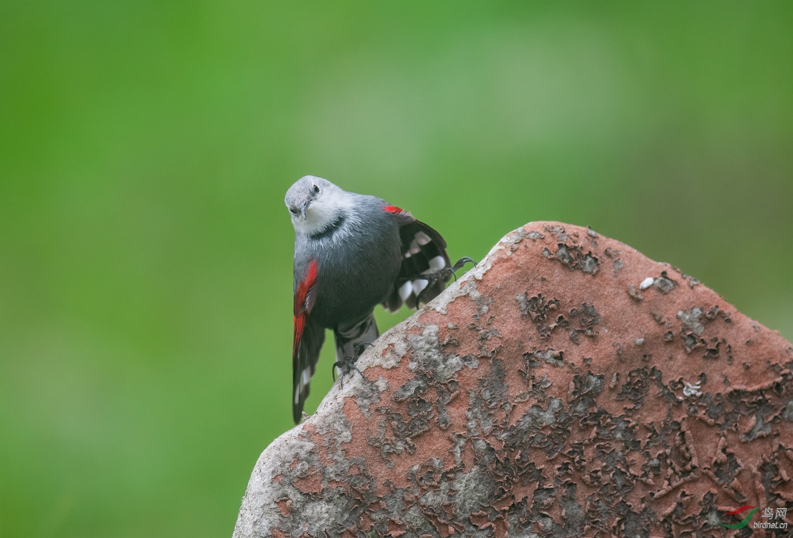 _DSC4562.jpg