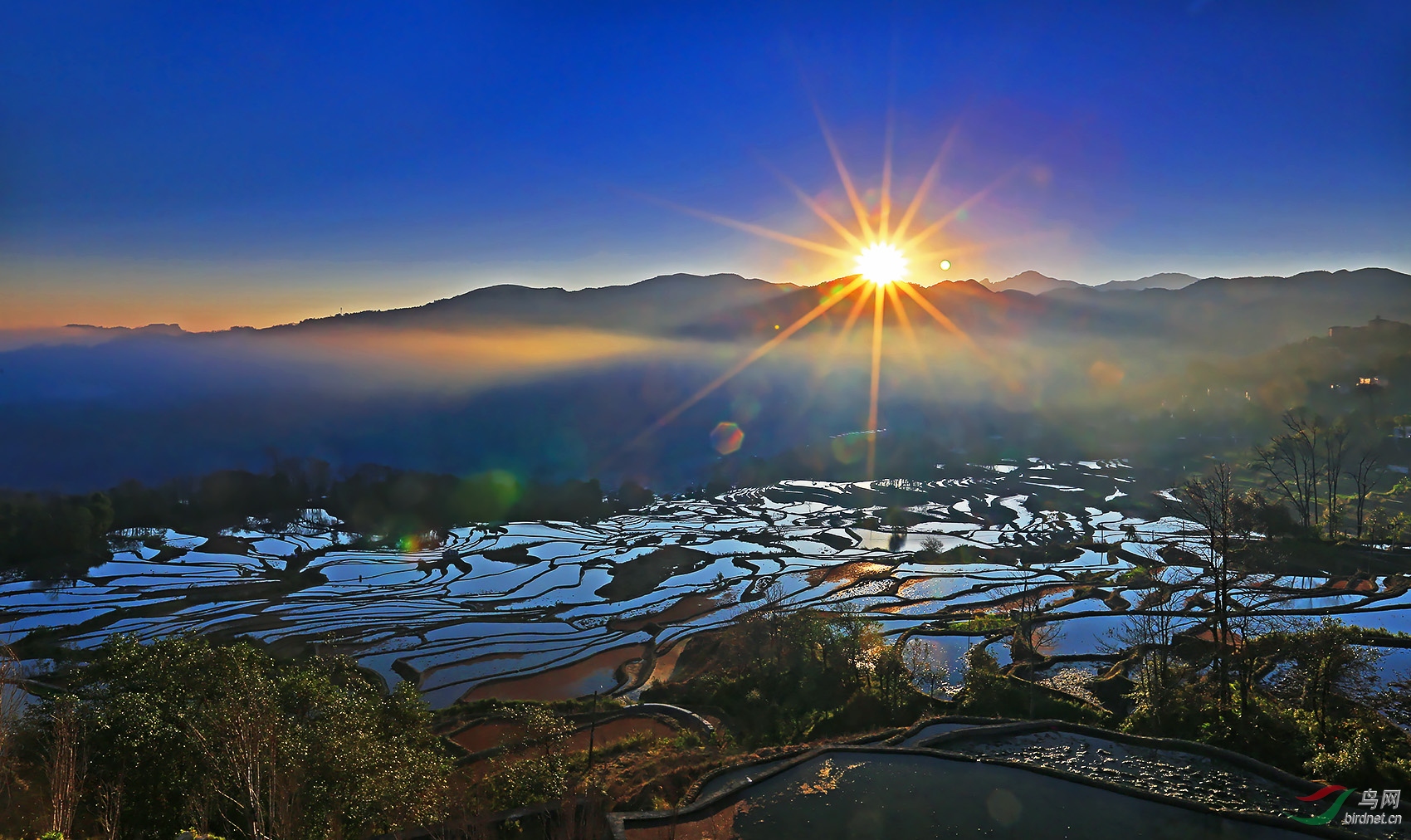 大地艺术元阳箐口梯田日出