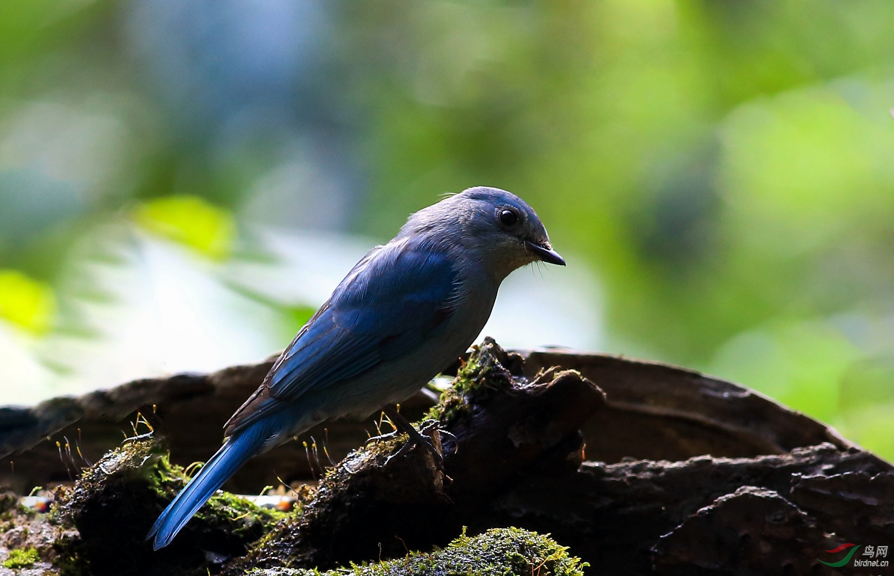 2019-01-27 13-30-32 (3).JPG