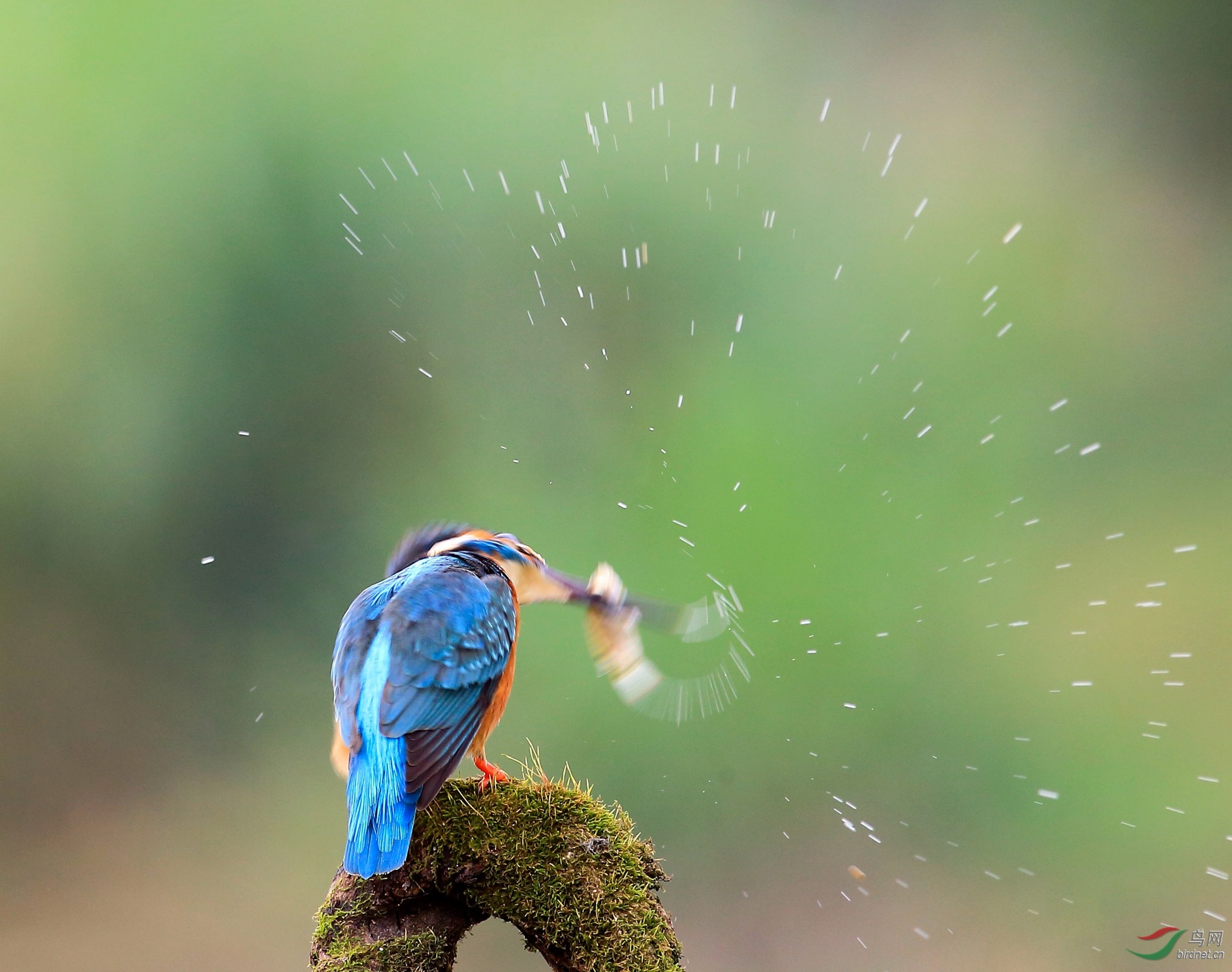 2018-11-28 09-10-29 (4).JPG