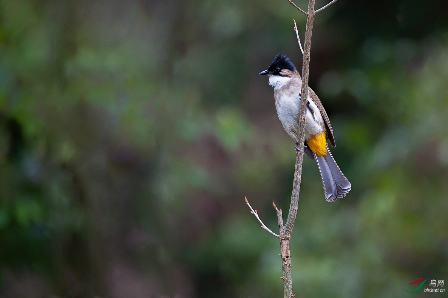 DSC_1875_1.jpg