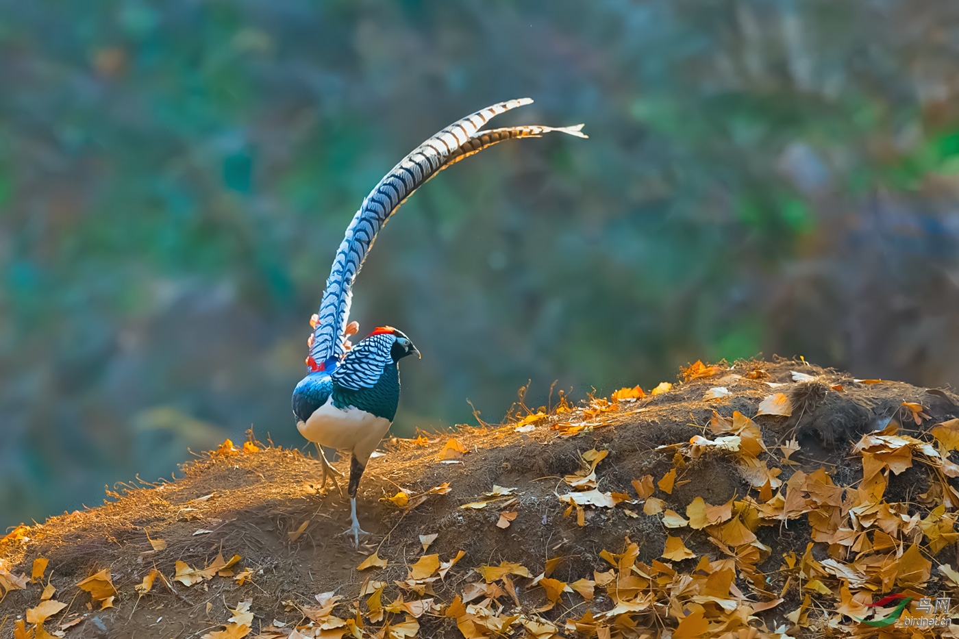 _DSC5320-2.jpg