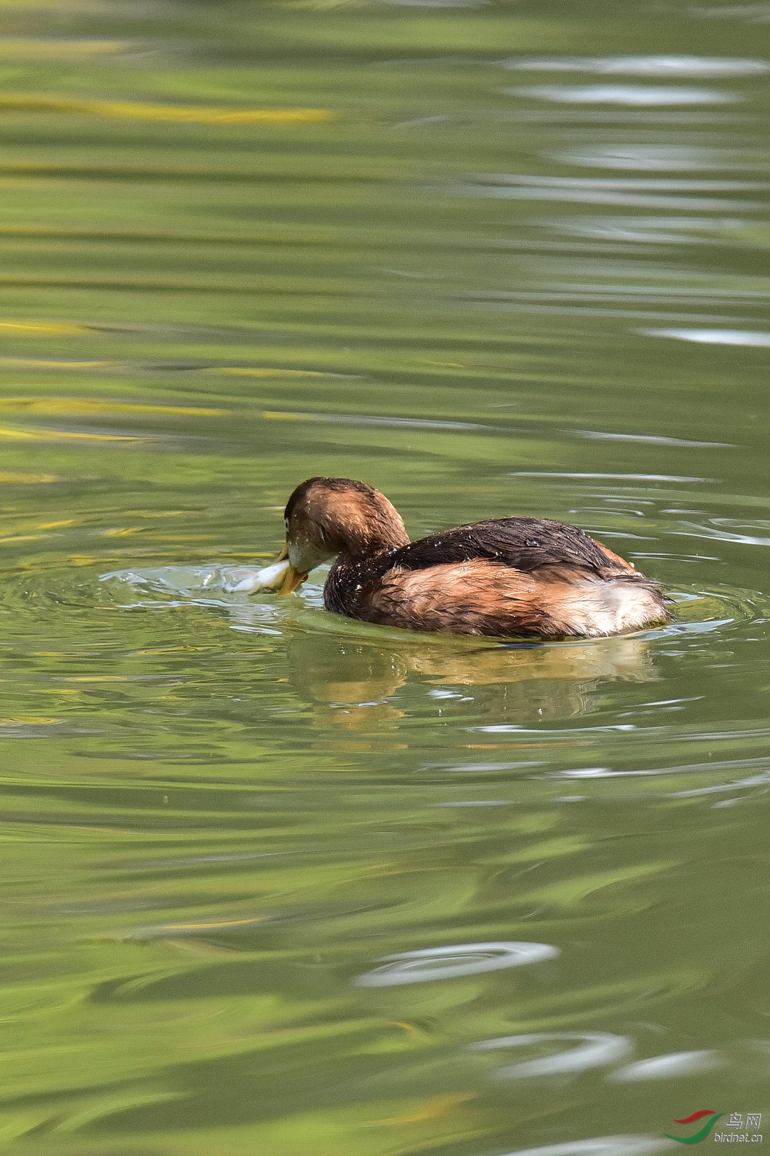 DSC_0979.JPG