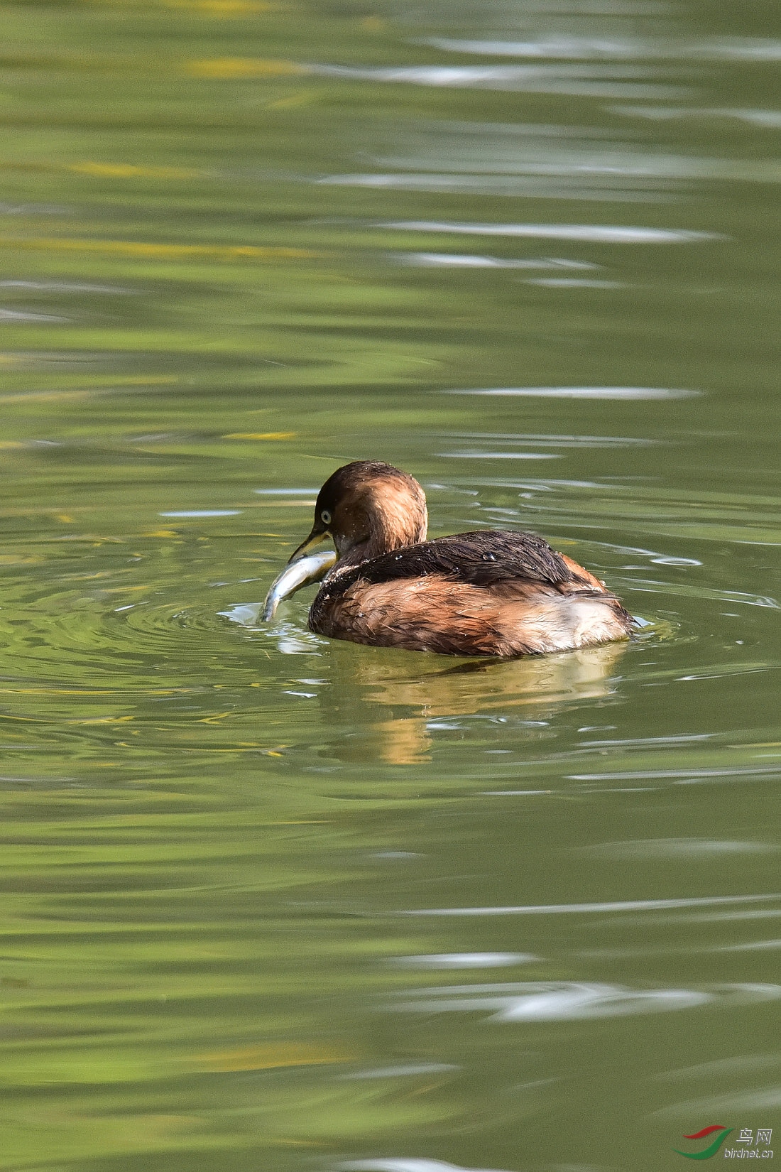 DSC_0983.JPG