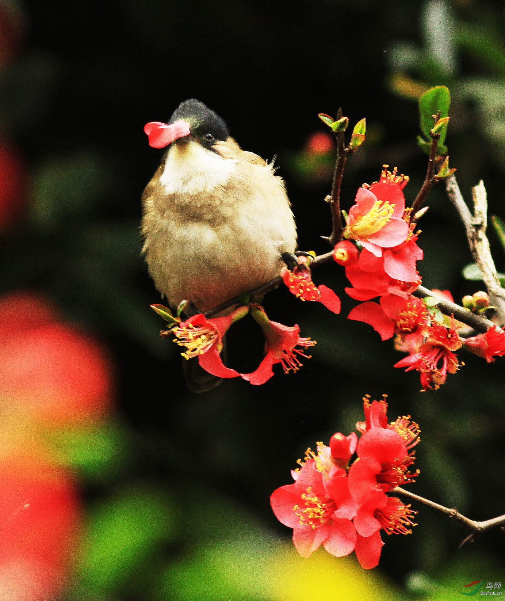 ���� IMG_0561_����.jpg