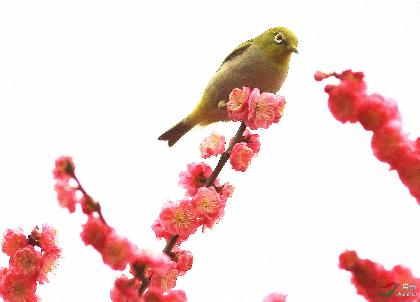 ���� IMG_0583_����.jpg