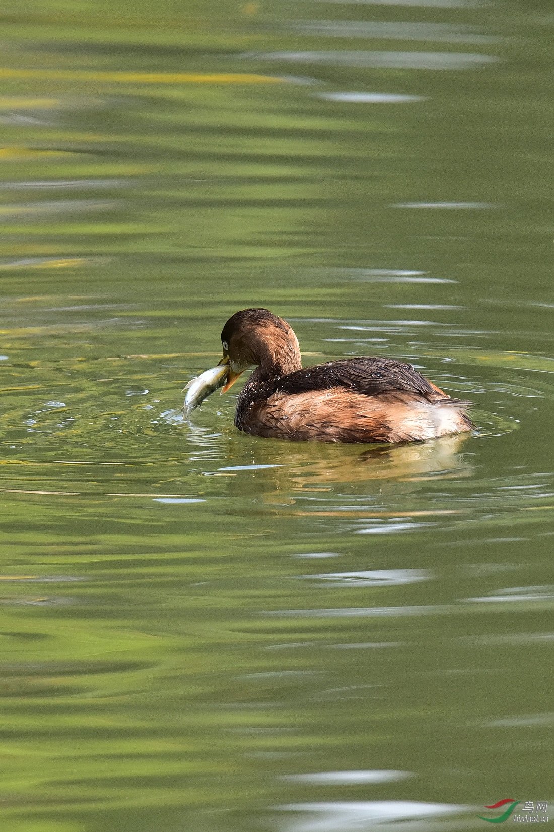 DSC_0986.JPG