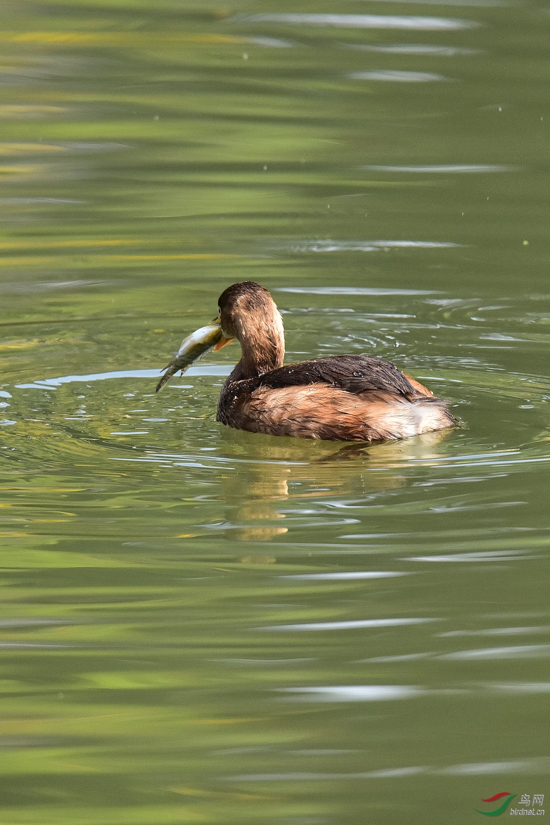 DSC_0987.JPG