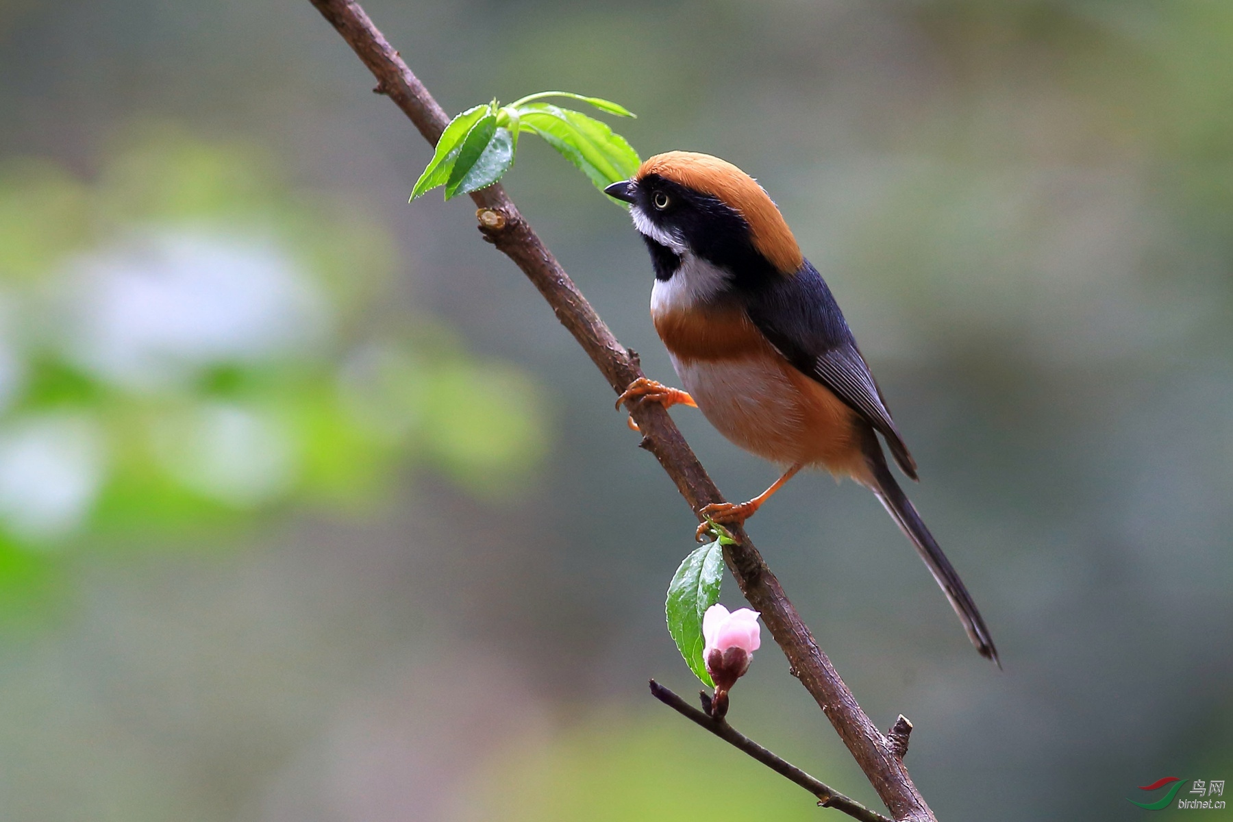 2019-01-31 12-53-46 (2).JPG