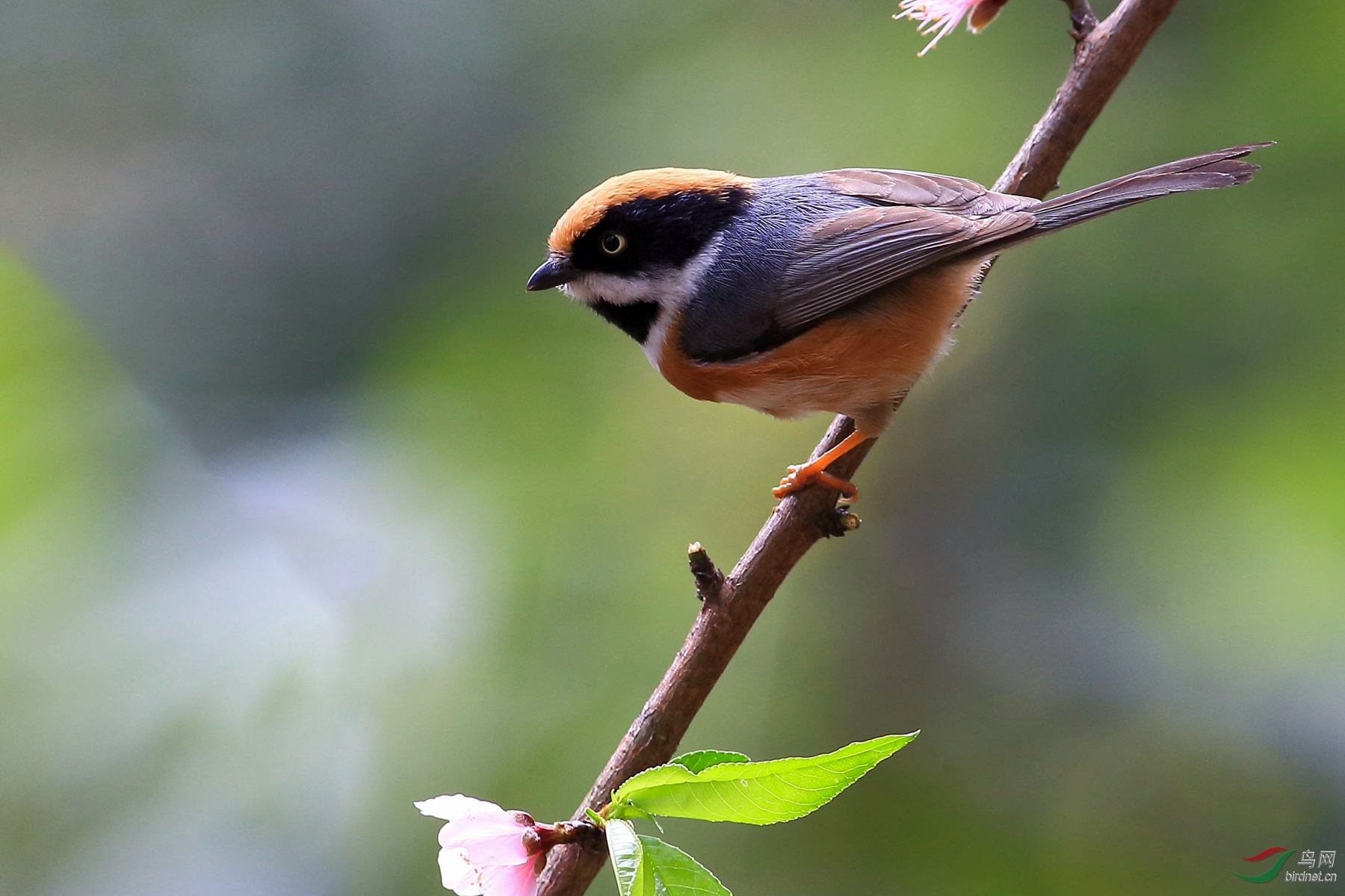 2019-01-31 12-53-55 (3).JPG