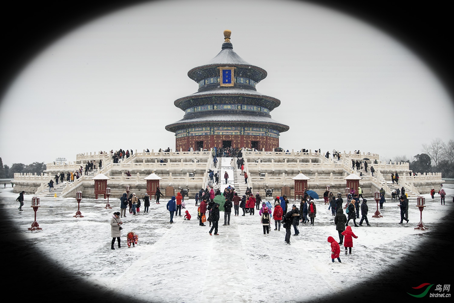 ��̳-�����