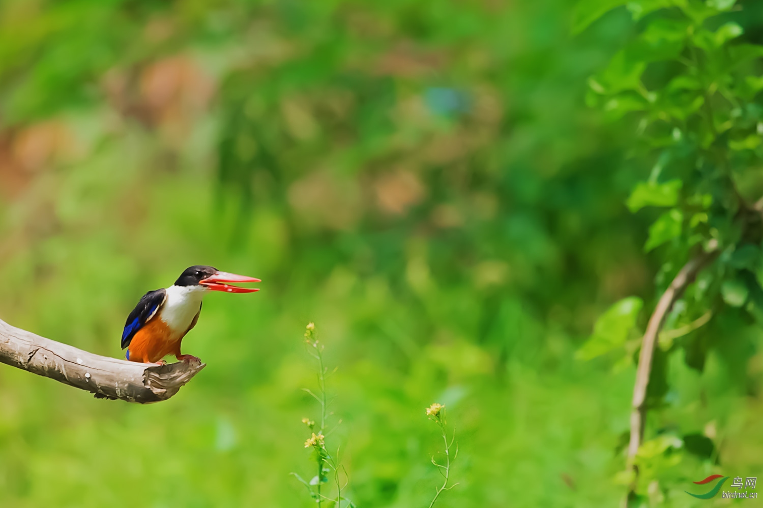 _DSC6426-2.jpg