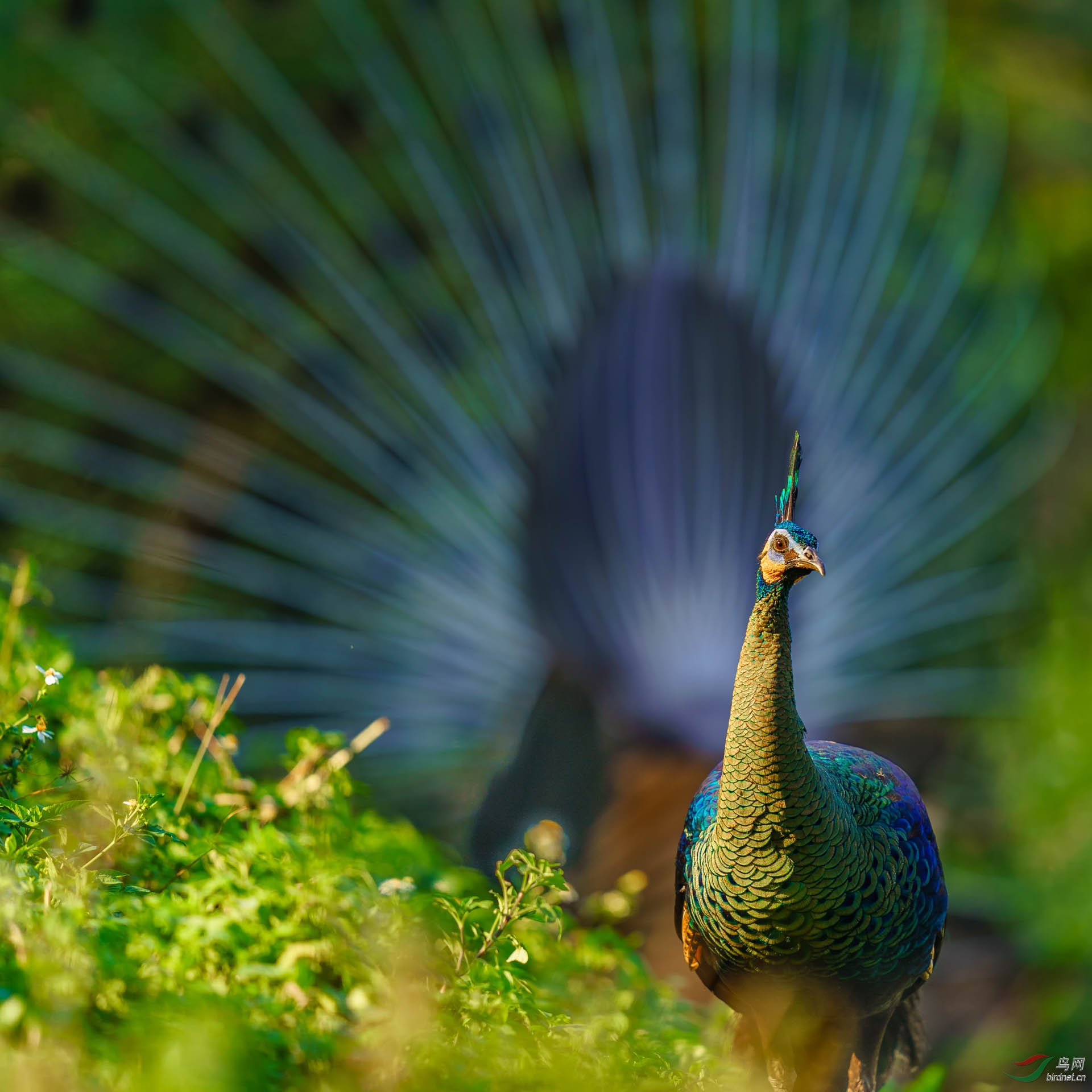 ��һ����λ��