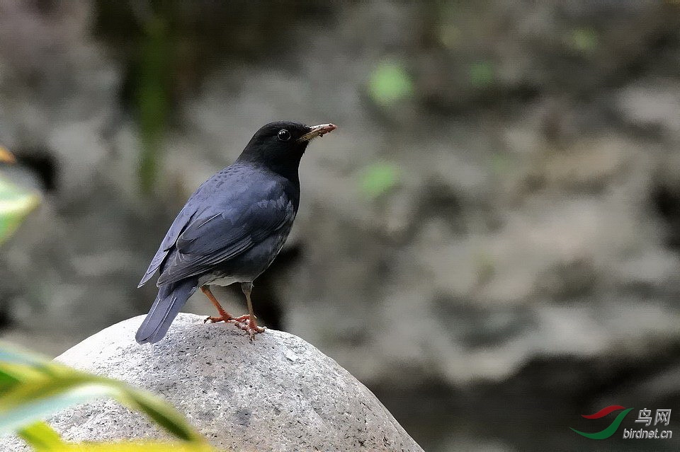 DSC_3992.JPG
