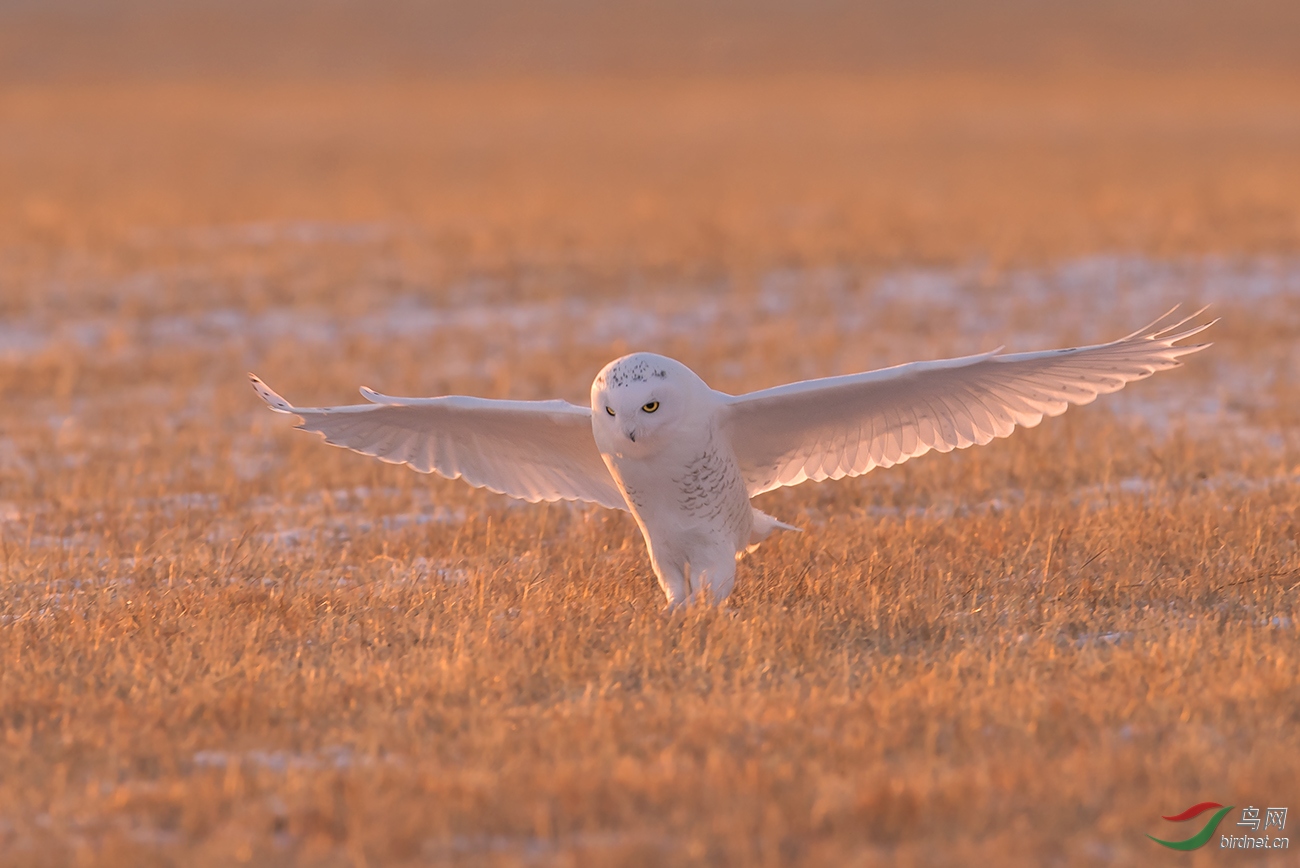 DSC_7541.jpg