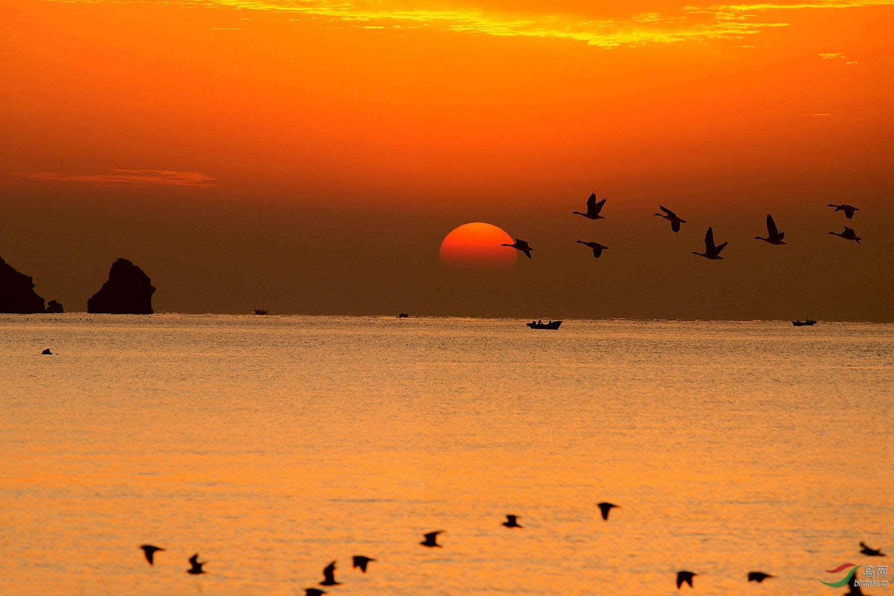 DSC_0951 ����_����_����_����.jpg