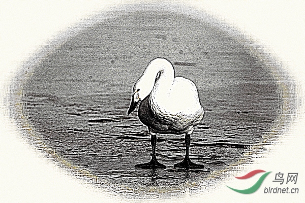 BW6I0509_����_����1_����1_����1_����1_����1_����1_����.JPG
