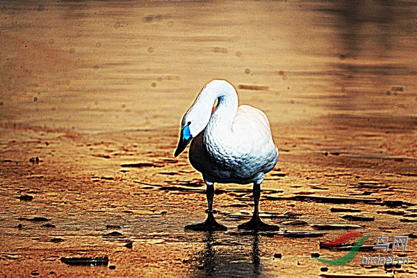 BW6I0509_����_����1_����.JPG