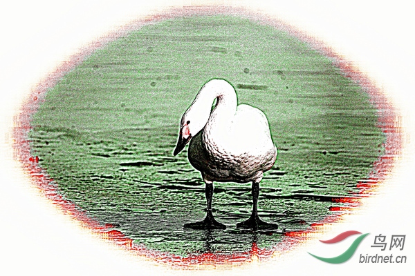 BW6I0509_����_����1_����1_����1_����1_����1_����.JPG