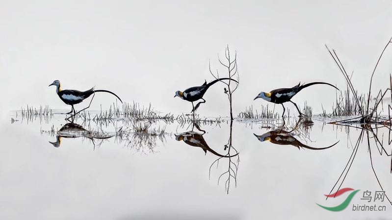 _2019012115201083 (32).jpg