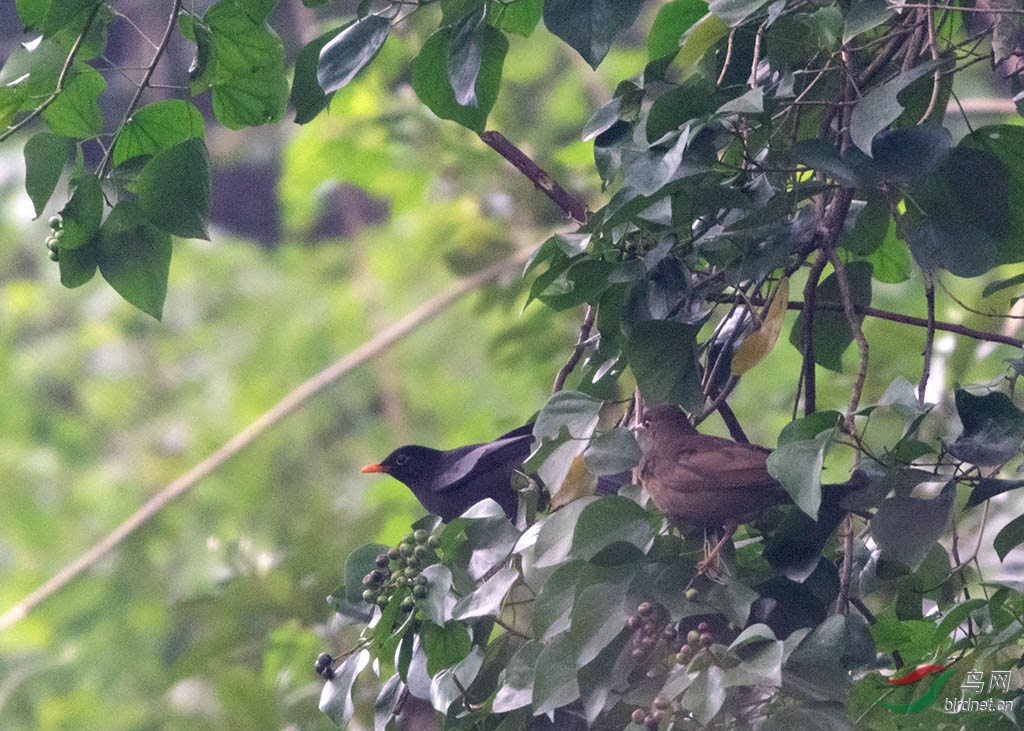 DSC_6405.jpg