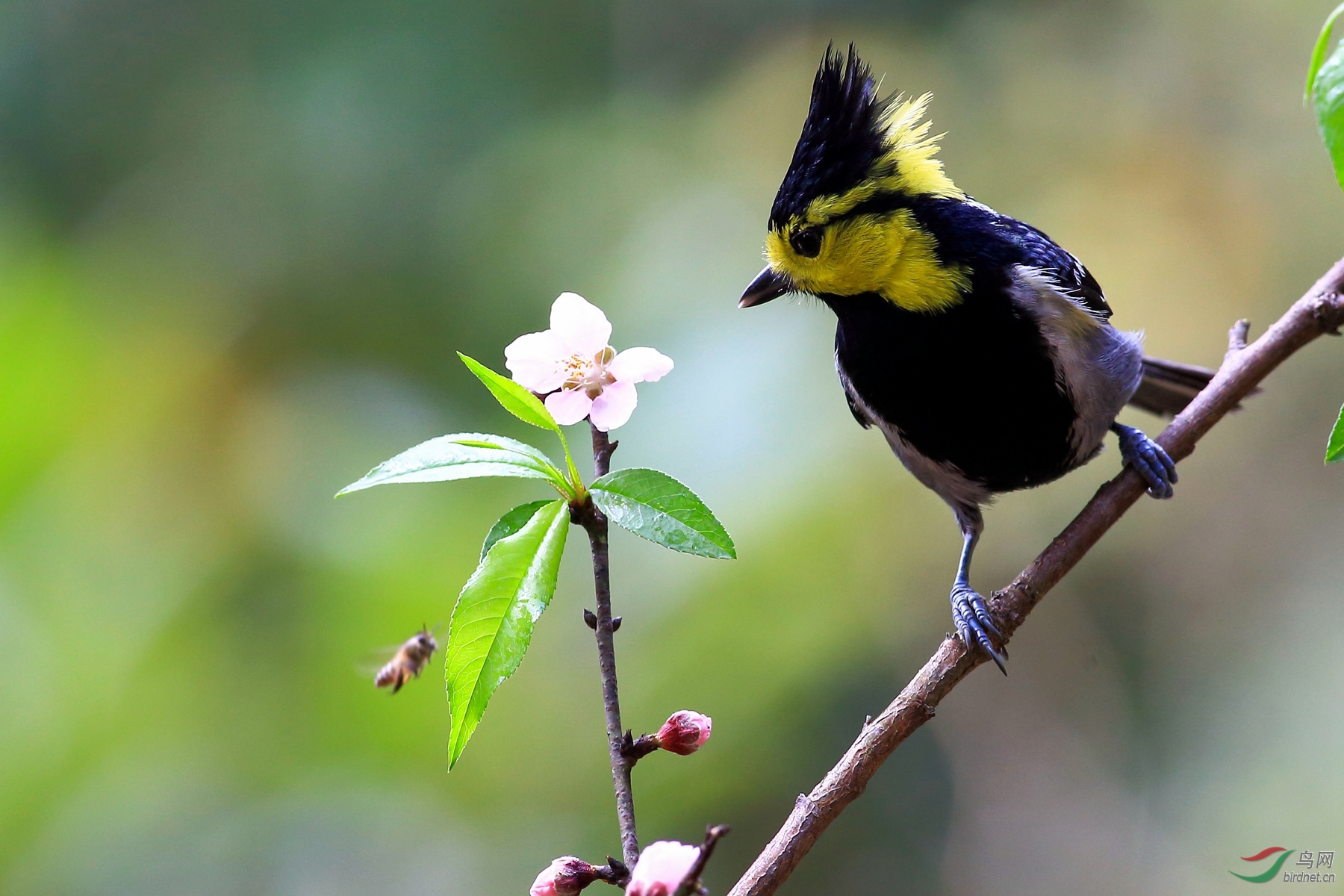 2019-01-31 12-16-22.JPG