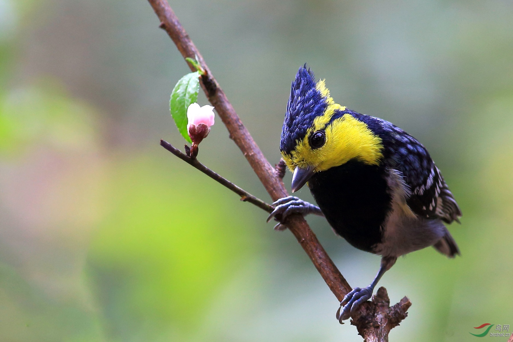 2019-01-31 12-16-43 (2).JPG