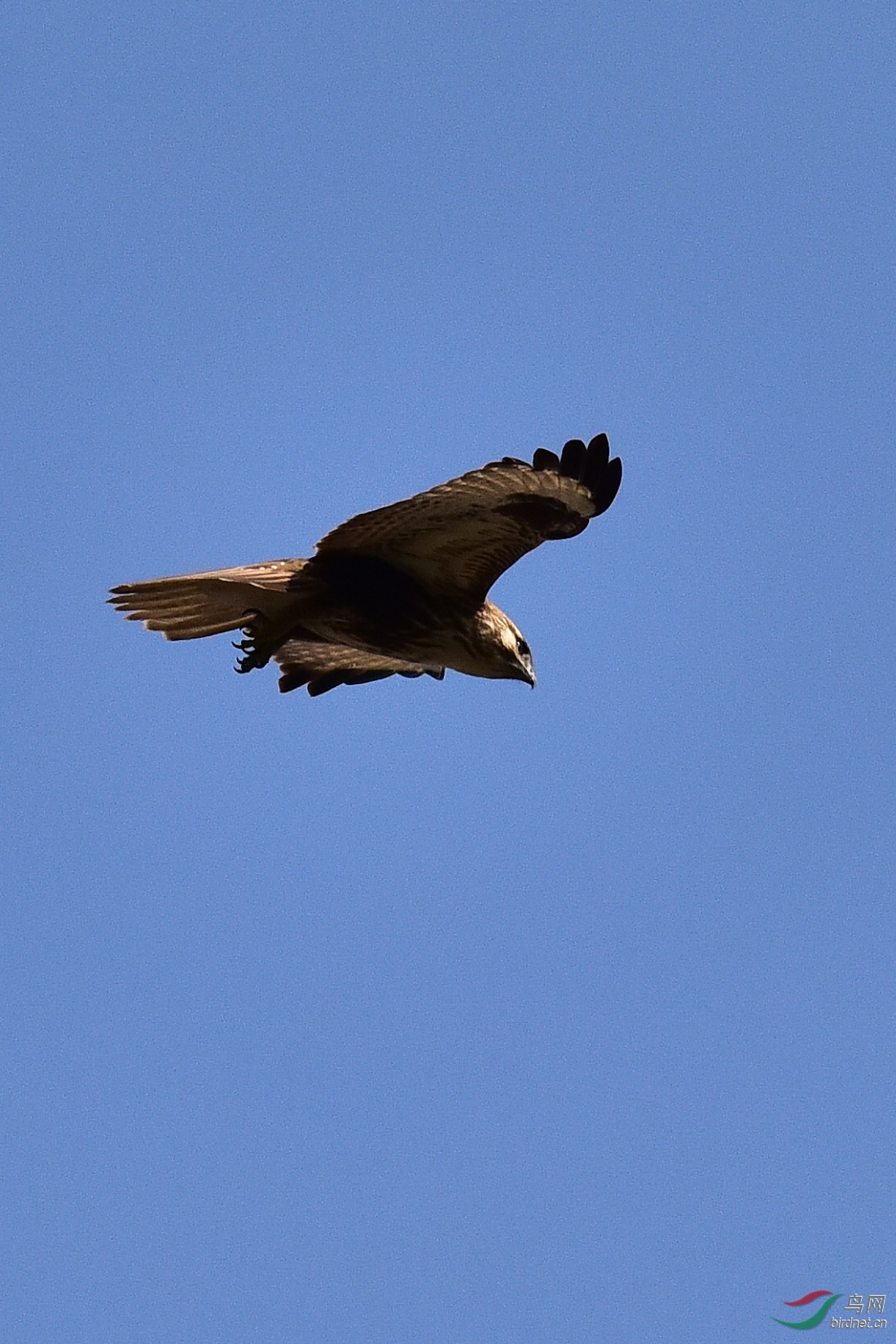 DSC_0198.JPG