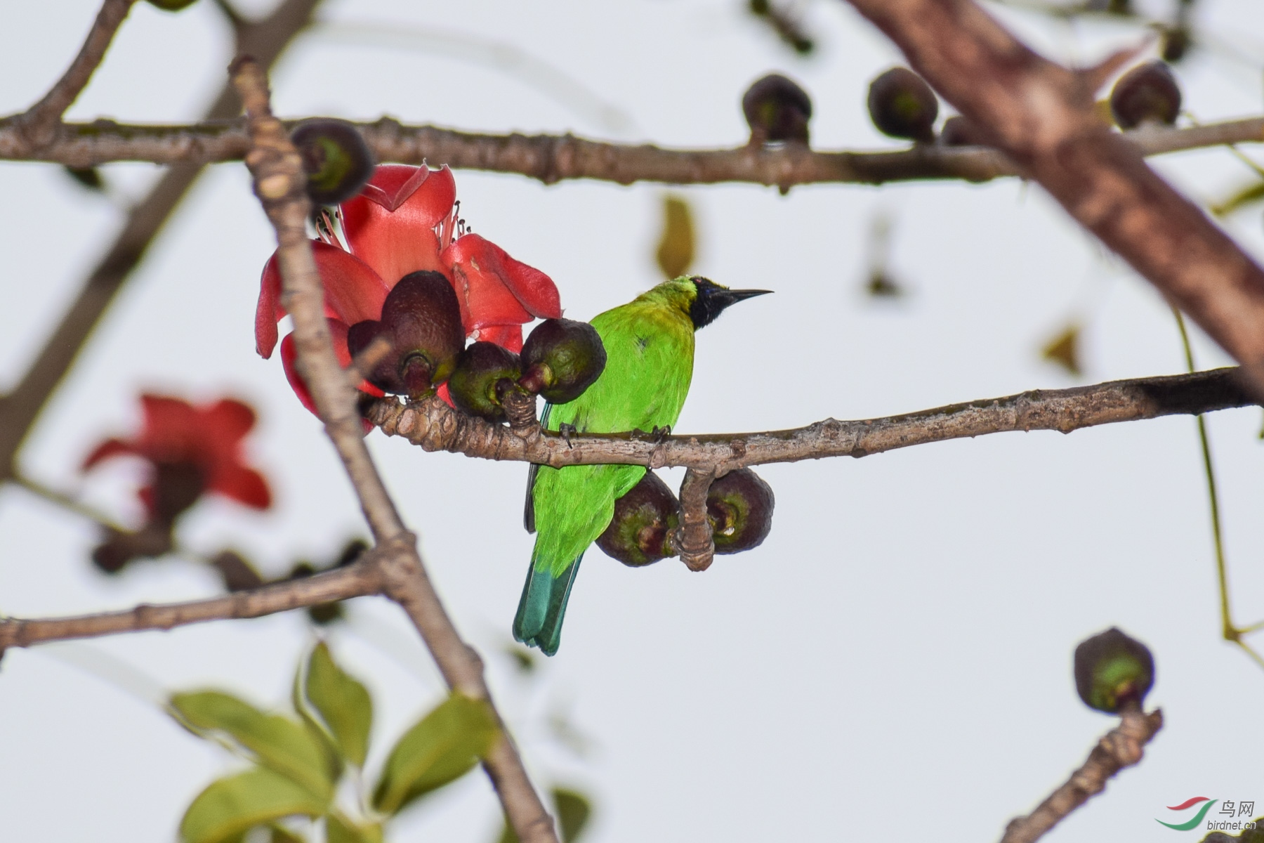 DSC_4263-2.jpg