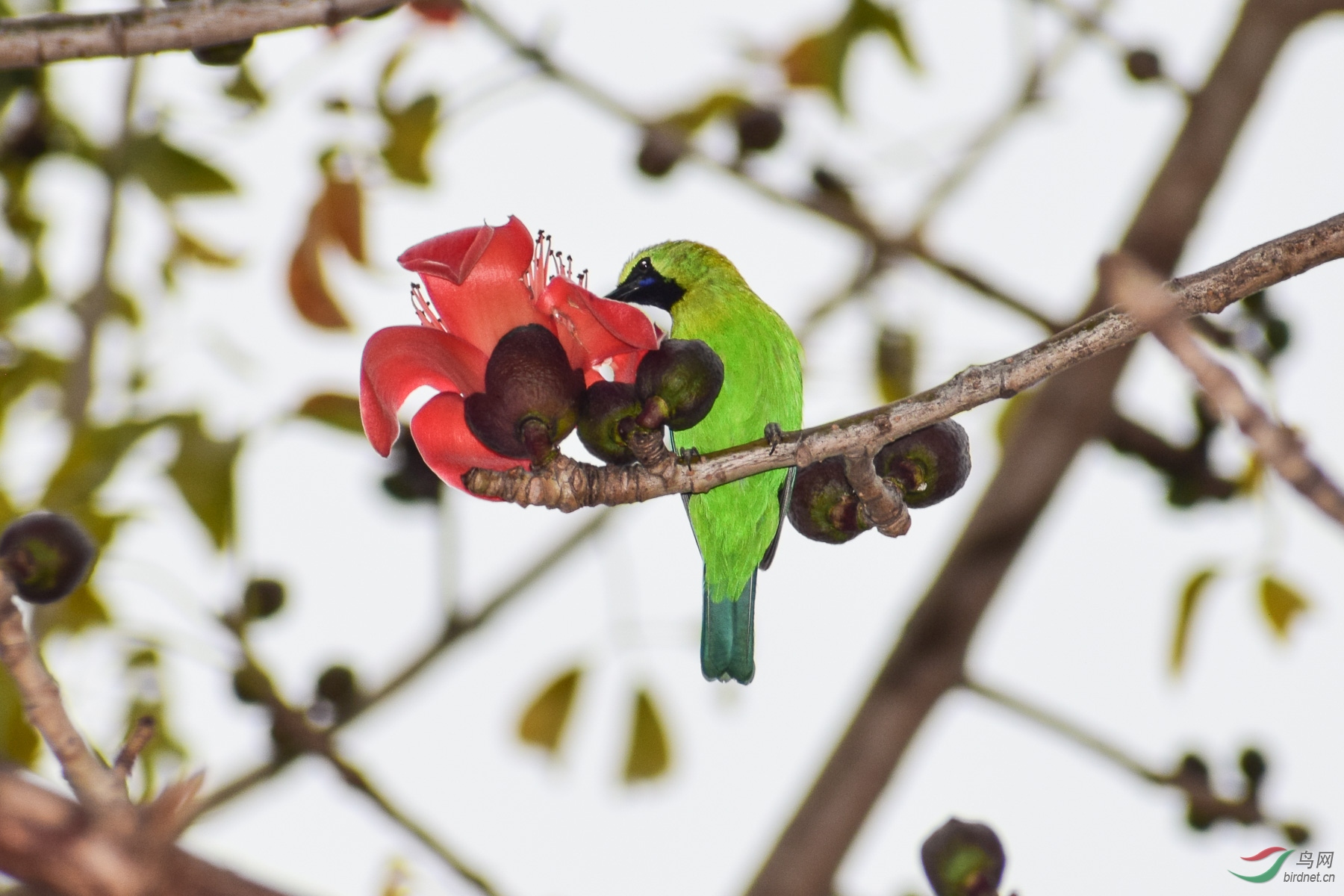 DSC_4274-2.jpg