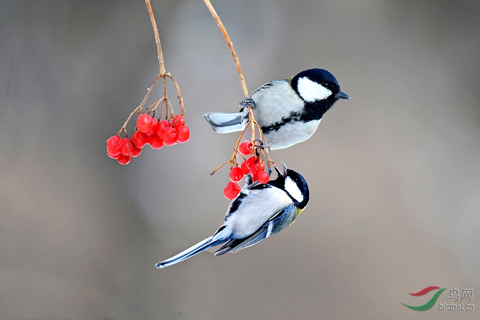 6.˫ȸ Ѱ��(��ɽȸ)7154AM.jpg