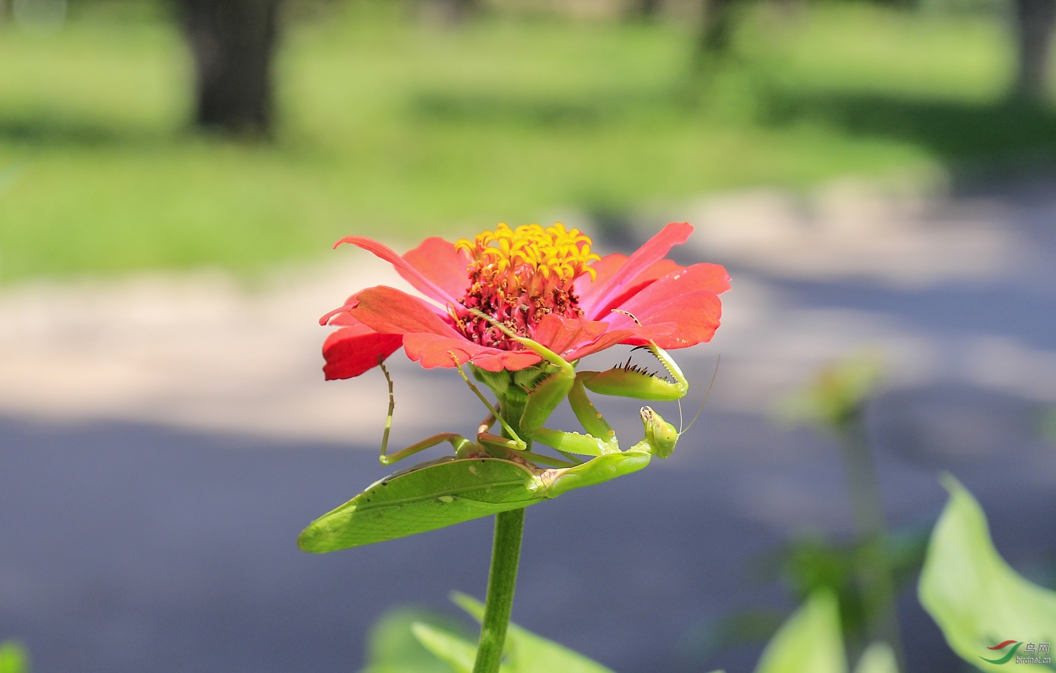 _MG_381600.jpg