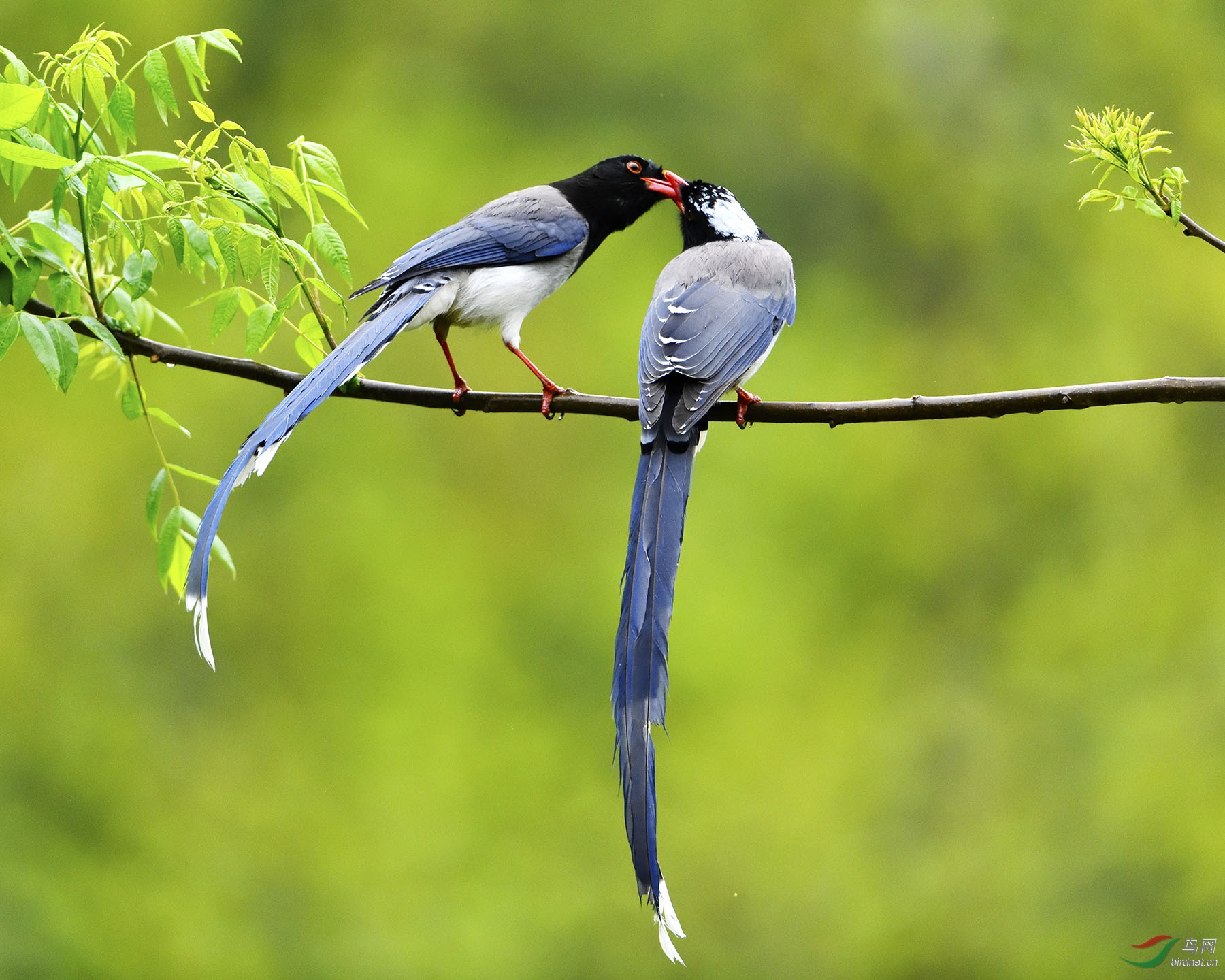 ������ȵ  ��.jpg