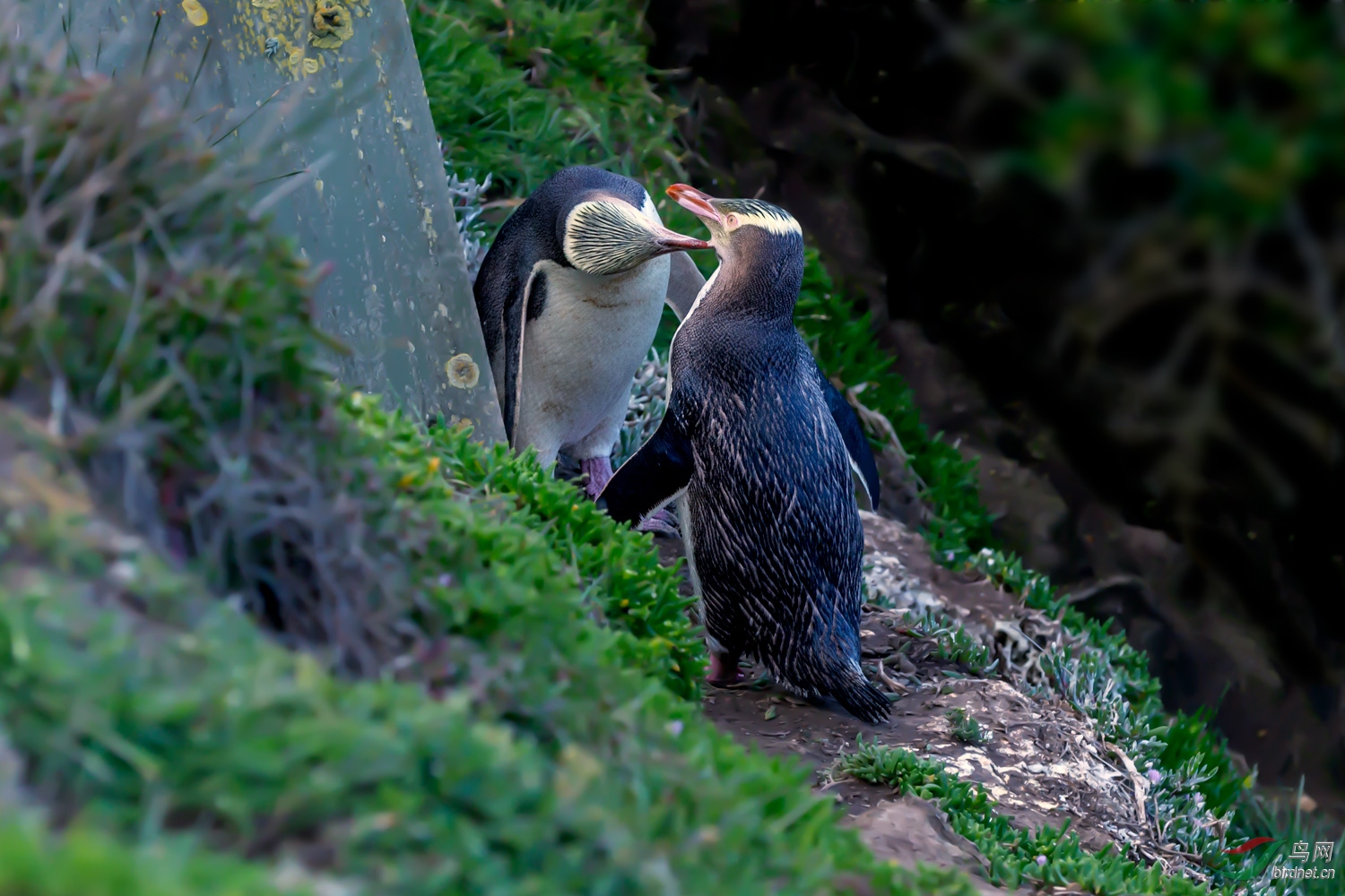 ������һ��