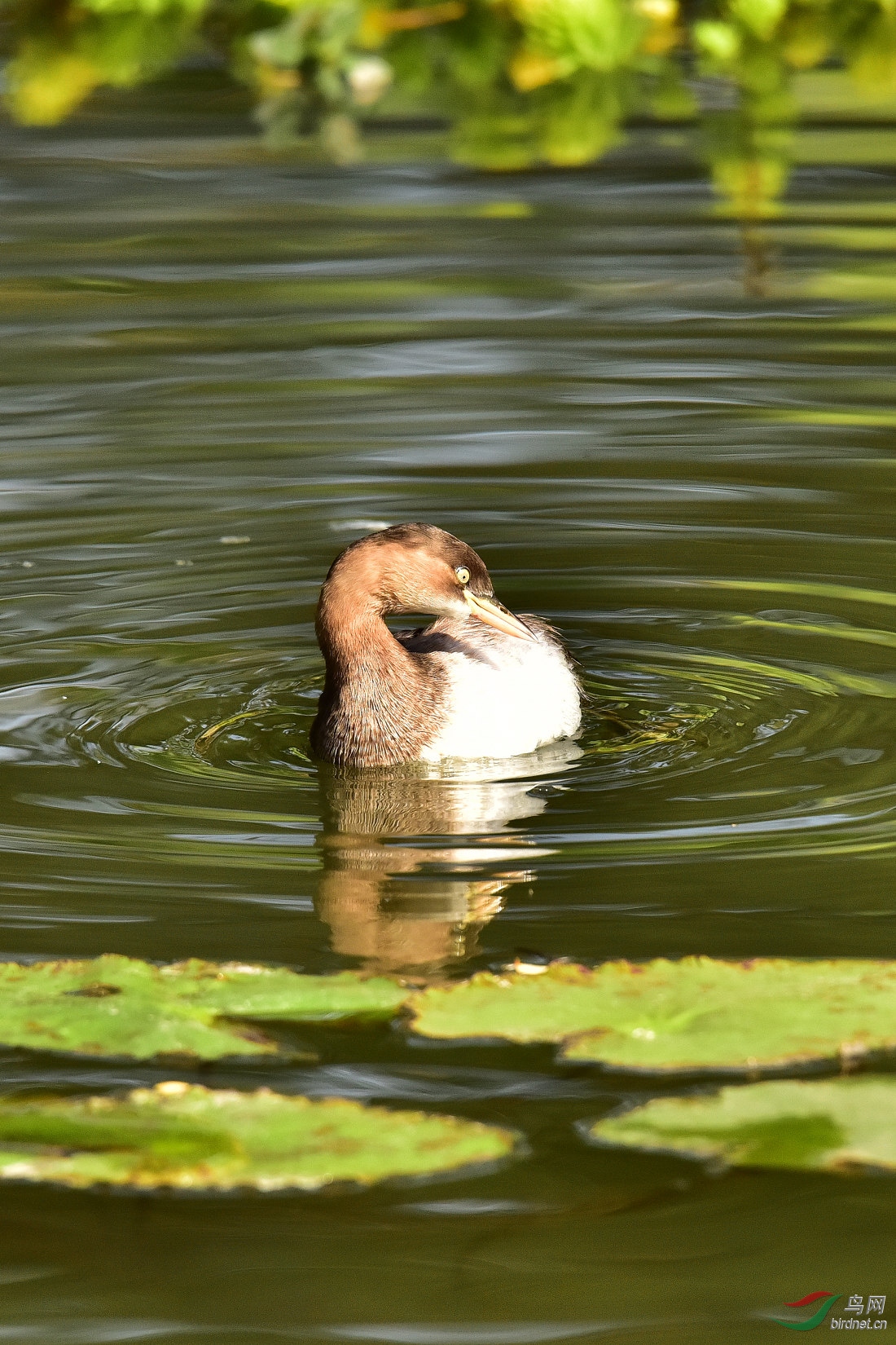 DSC_1077.JPG