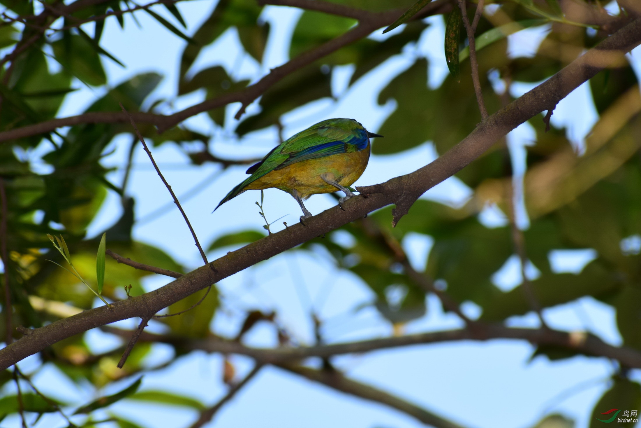 DSC_2960.JPG